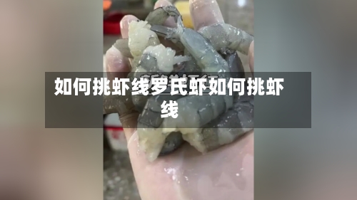 如何挑虾线罗氏虾如何挑虾线