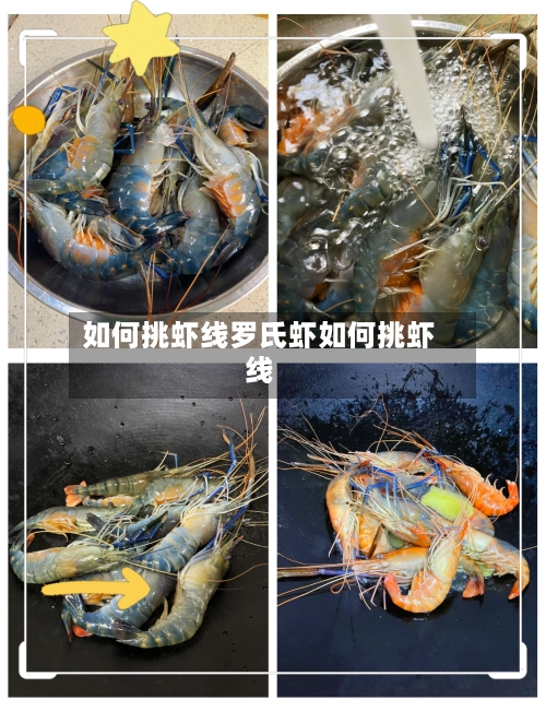 如何挑虾线罗氏虾如何挑虾线