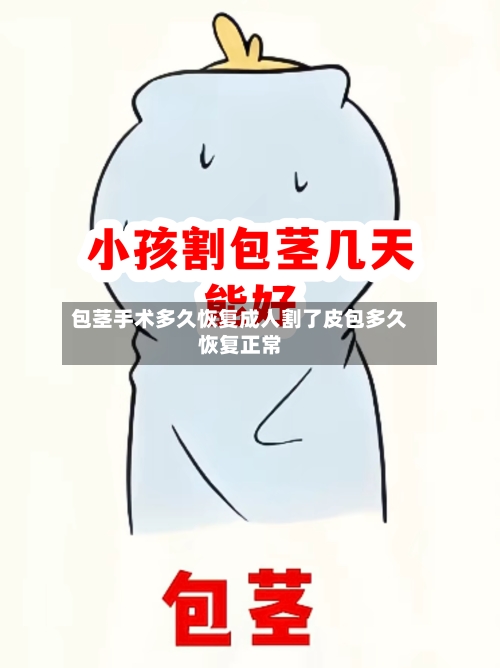 包茎手术多久恢复成人割了皮包多久恢复正常