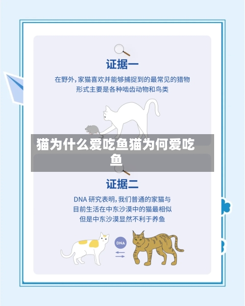 猫为什么爱吃鱼猫为何爱吃鱼