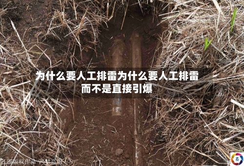 为什么要人工排雷为什么要人工排雷而不是直接引爆