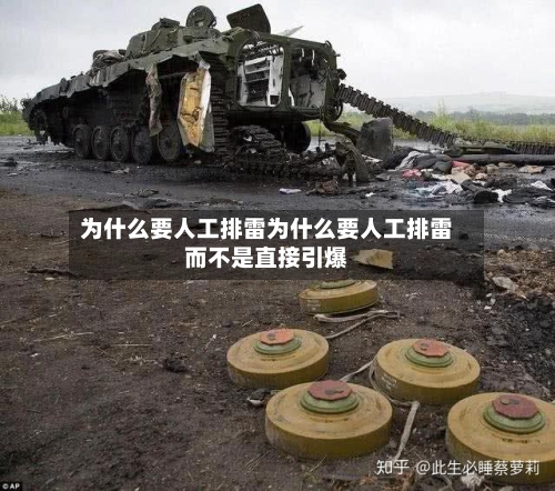 为什么要人工排雷为什么要人工排雷而不是直接引爆