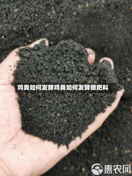 鸡粪如何发酵鸡粪如何发酵做肥料
