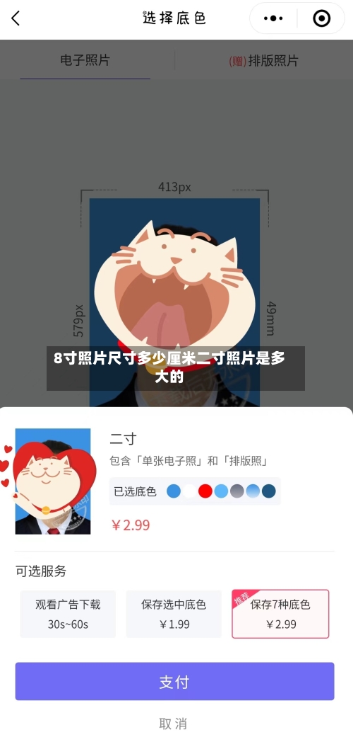 8寸照片尺寸多少厘米二寸照片是多大的