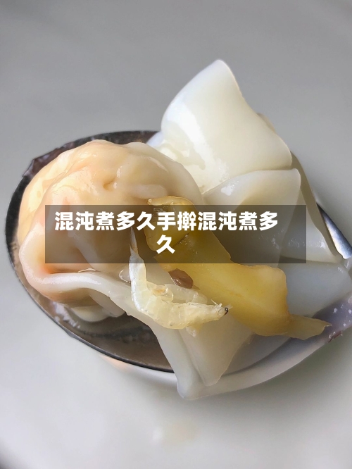 混沌煮多久手擀混沌煮多久