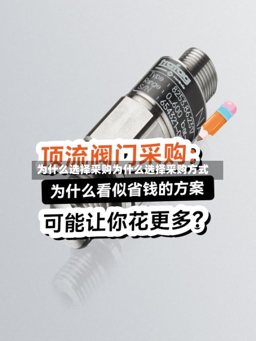 为什么选择采购为什么选择采购方式