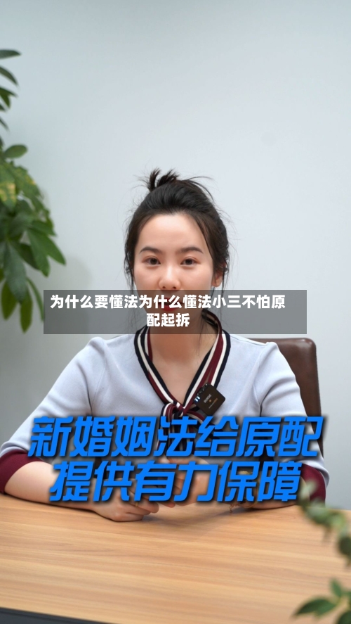 为什么要懂法为什么懂法小三不怕原配起拆