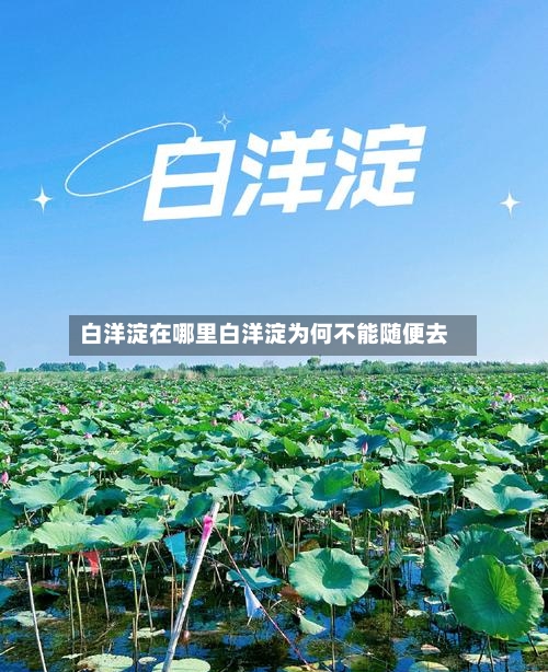 白洋淀在哪里白洋淀为何不能随便去