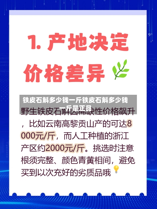 铁皮石斛多少钱一斤铁皮石斛多少钱一斤是正品
