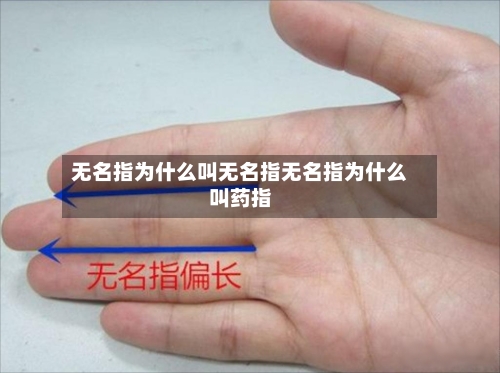 无名指为什么叫无名指无名指为什么叫药指