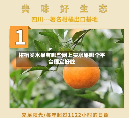 柑橘类水果有哪些网上买水果哪个平台便宜好吃