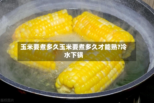玉米要煮多久玉米要煮多久才能熟?冷水下锅