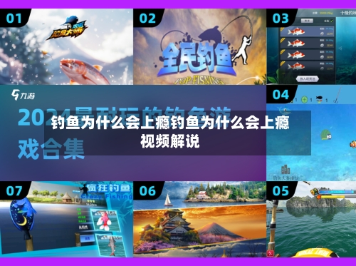 钓鱼为什么会上瘾钓鱼为什么会上瘾视频解说