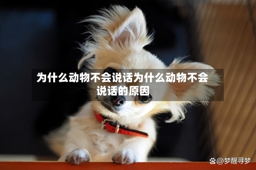 为什么动物不会说话为什么动物不会说话的原因