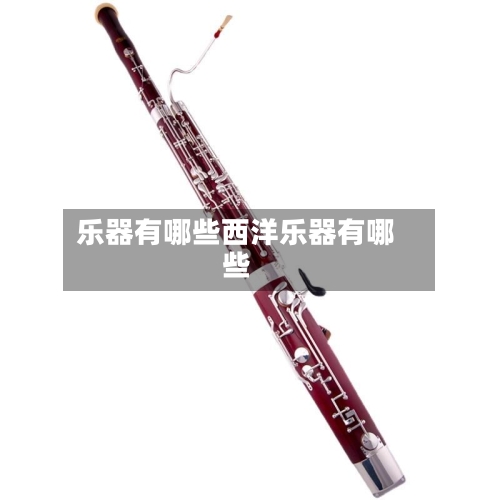 乐器有哪些西洋乐器有哪些