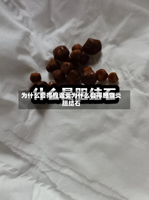 为什么会得胆囊炎为什么会得胆囊炎胆结石