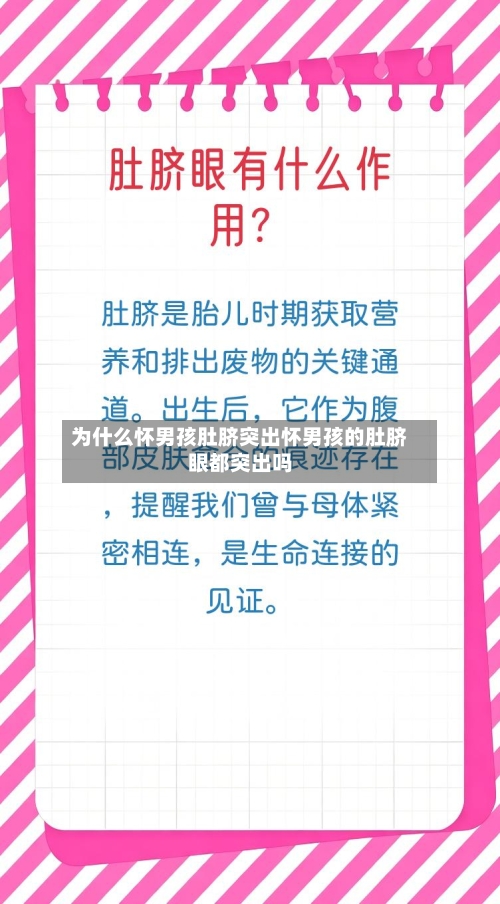 为什么怀男孩肚脐突出怀男孩的肚脐眼都突出吗