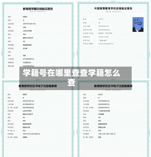 学籍号在哪里查查学籍怎么查